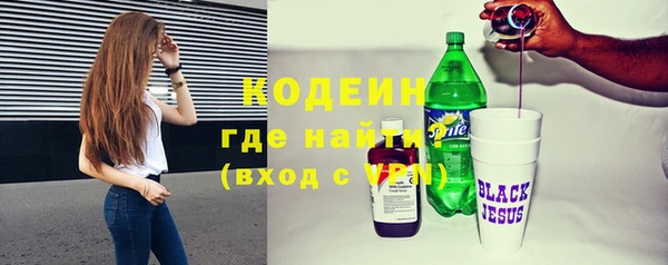 крисы Абаза