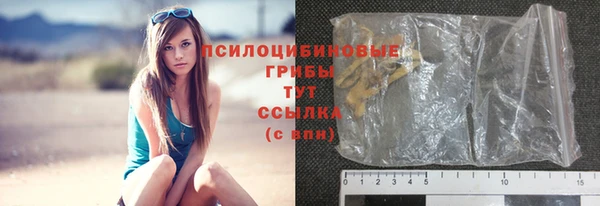 крисы Абаза