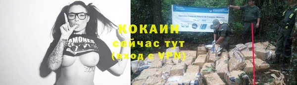 крисы Абаза