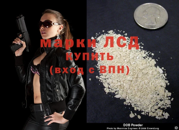 крисы Абаза