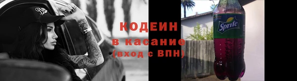 крисы Абаза