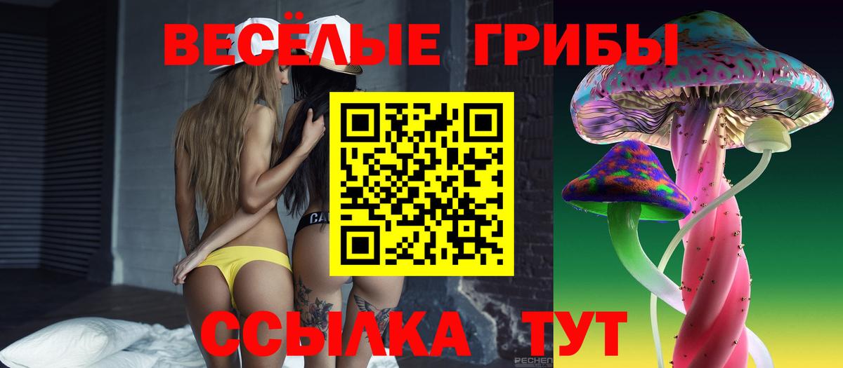 Галлюциногенные грибы GOLDEN TEACHER Домодедово
